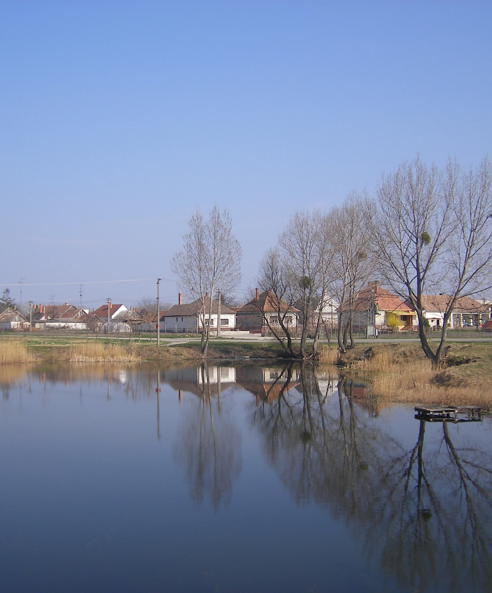 Waterside landscape and the village of Brestovec